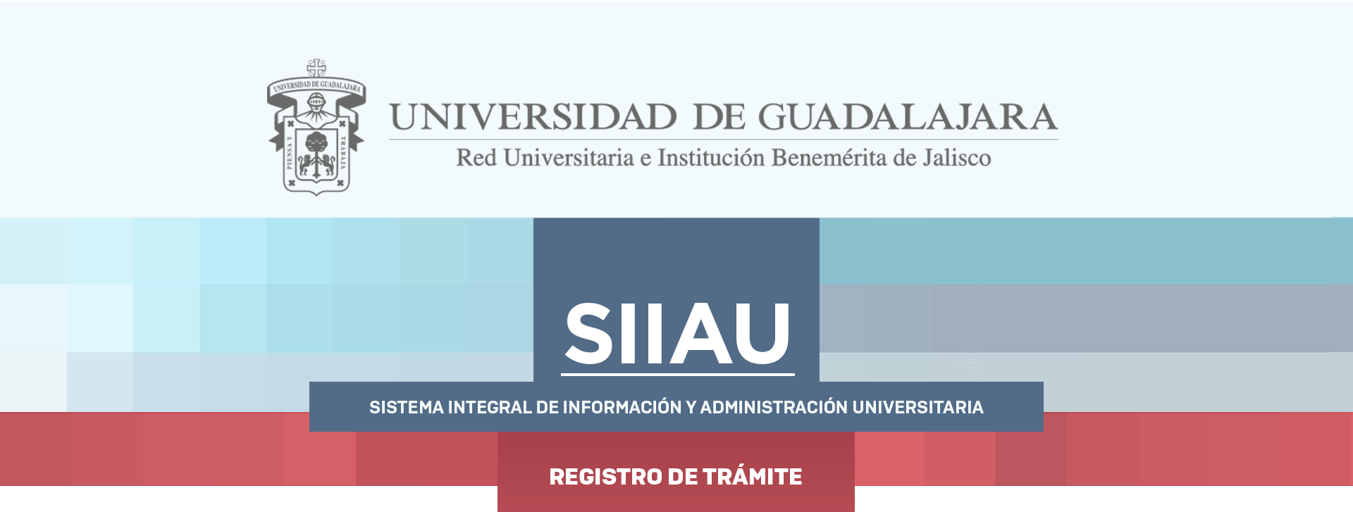 Gráfico Header PI